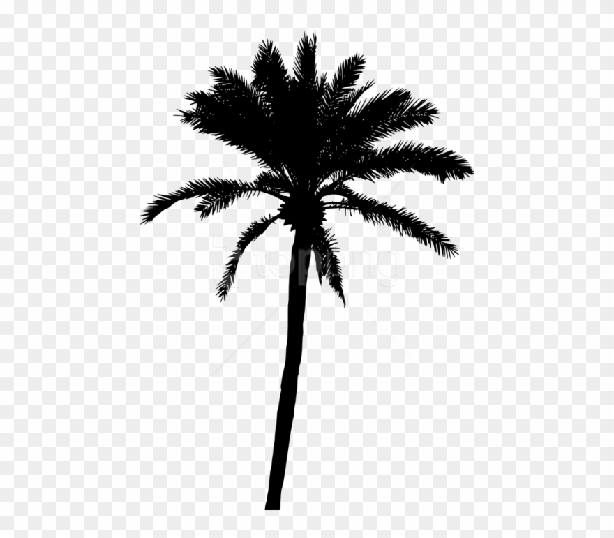 Tree Silhouette Free Images - Palm Tree Png Black Clipart