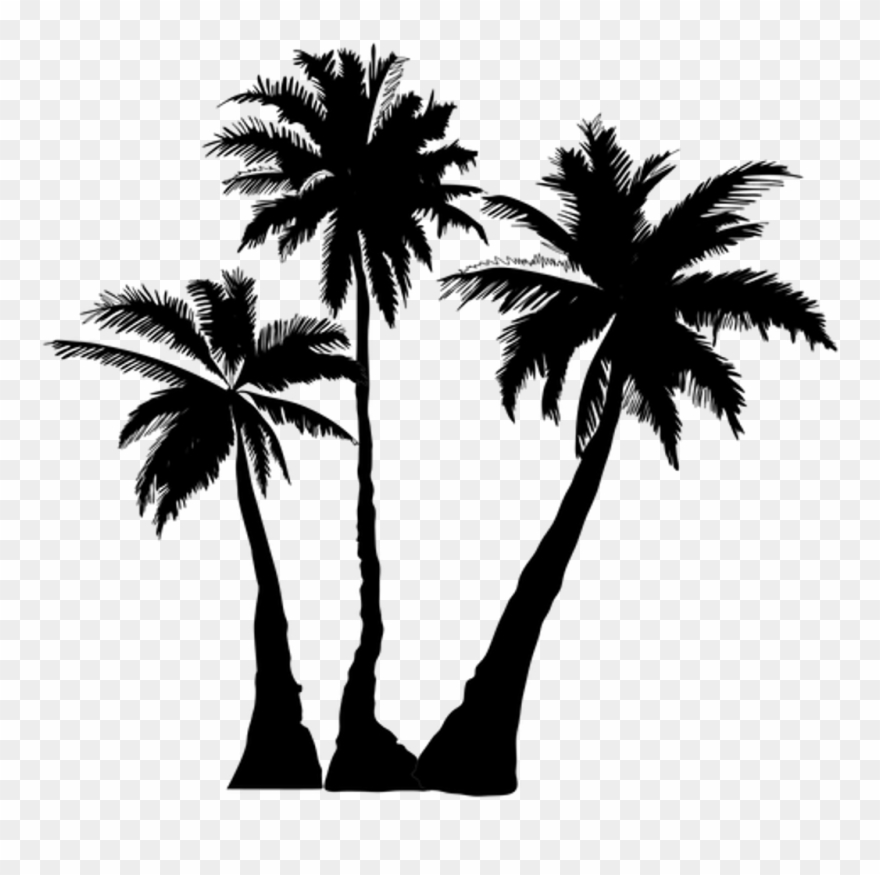 Vaporwave Palm Tree Png Transparent Background - Palm Tree Silhouette Png Clipart