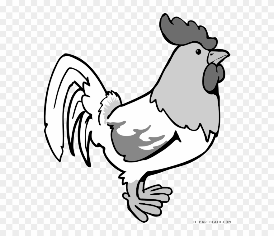 Download Free Printable Clipart And Coloring Pages - Rooster Cartoon Png Transparent Png