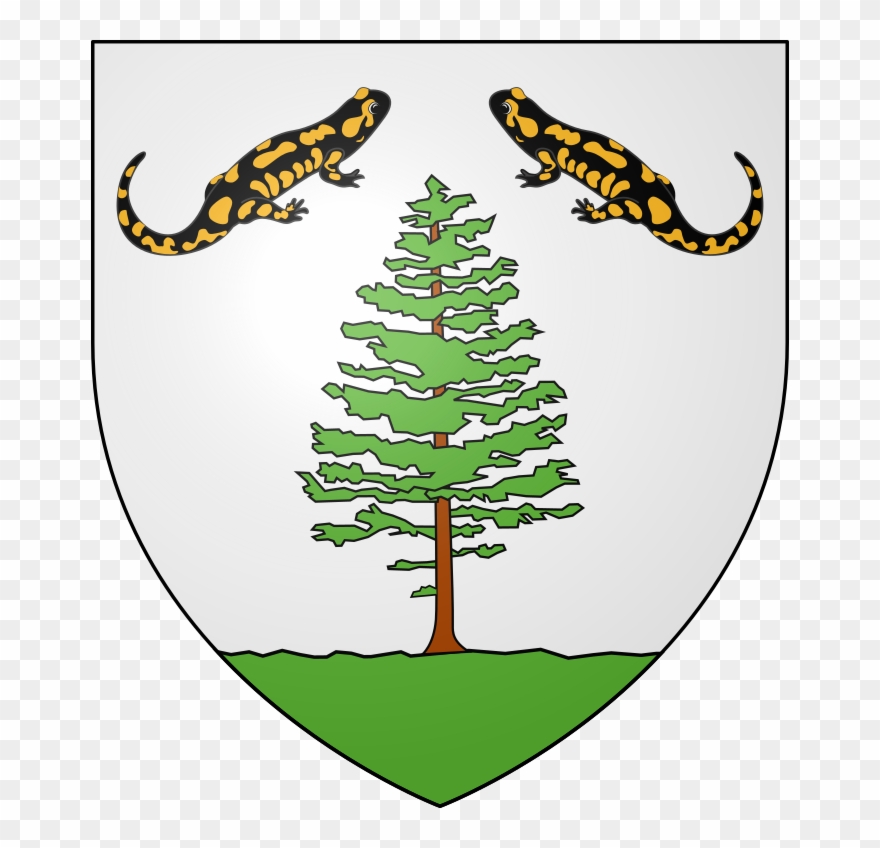 218 × 240 Pixels Clipart