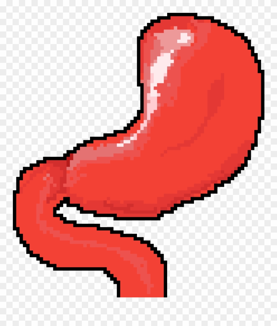 Stomach - Featured On The Knot Clipart