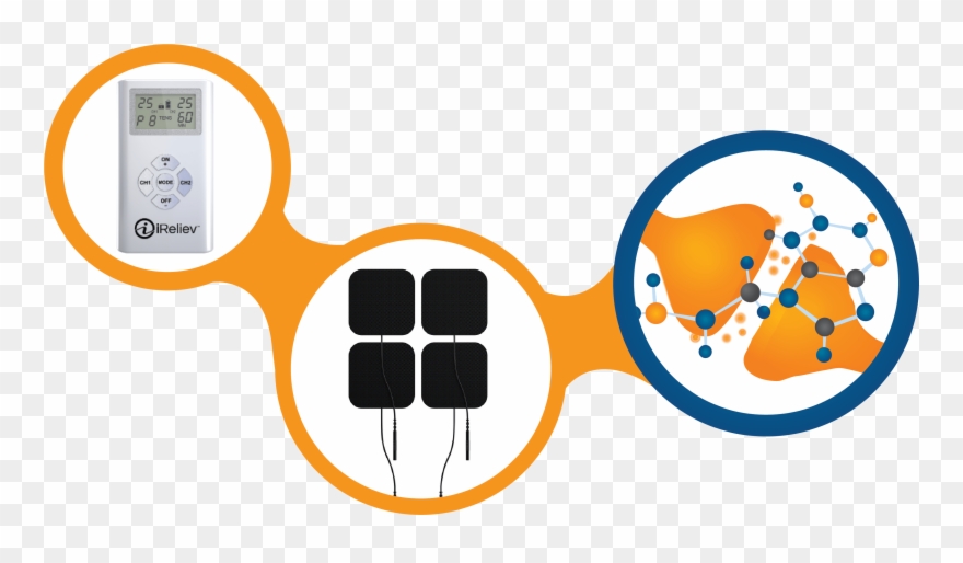 Primary Theories Behind Tens - Transcutaneous Electrical Nerve Stimulation Free Clipart