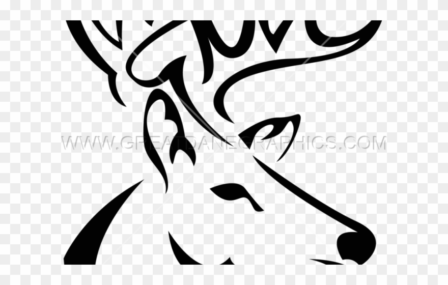 Drawn Buck Blacktail Deer Clipart