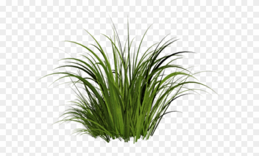 Grass Clipart Clear Background - Patch Of Grass Transparent - Png Download