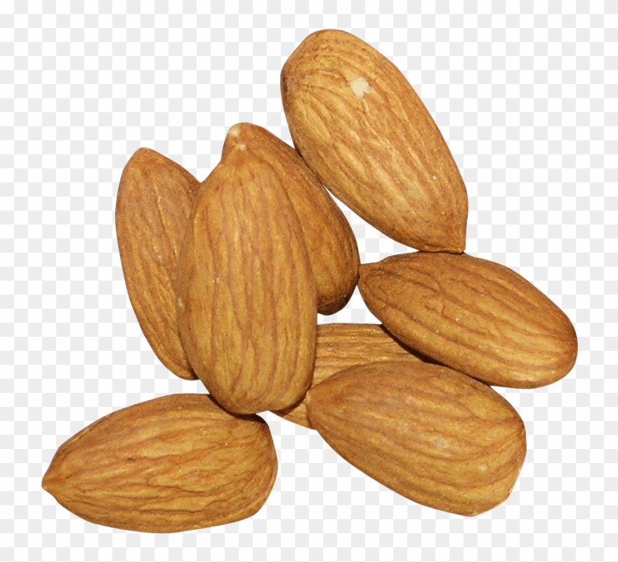 Almond Nut Transparent Background - Almond Transparent Clipart