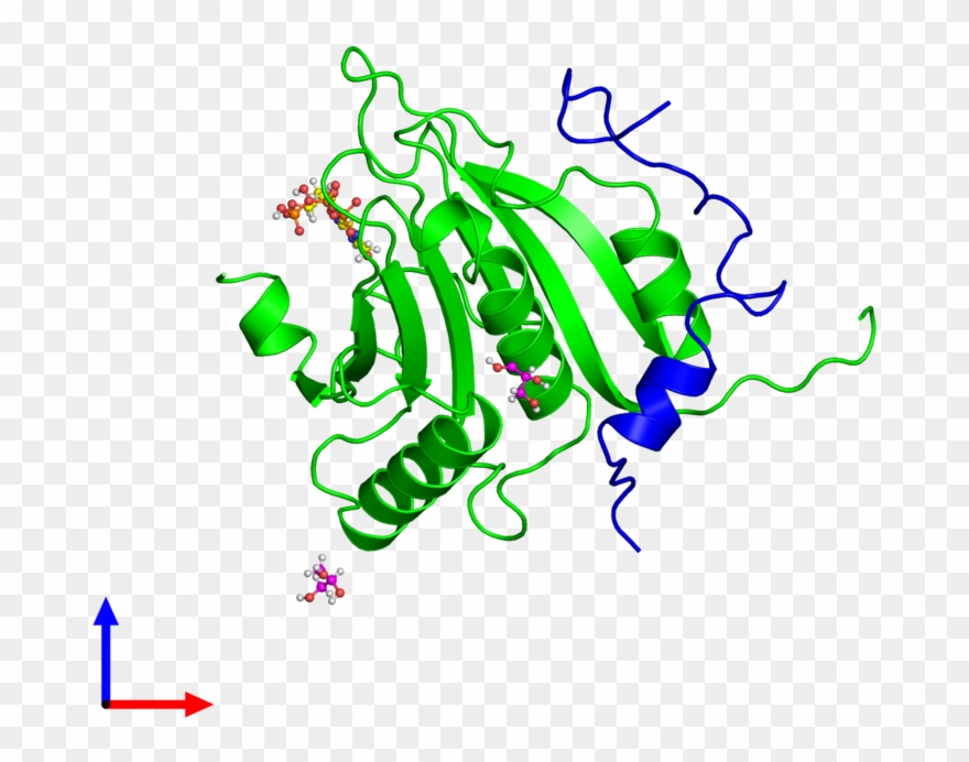 Dimeric Assembly 1 Of Pdb Entry 5t46 Coloured By Chemically - Graphic Design Clipart