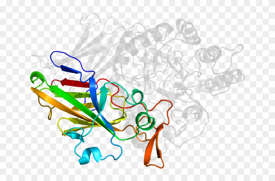 D1vw4g In Context Of Pdb - Graphic Design Clipart