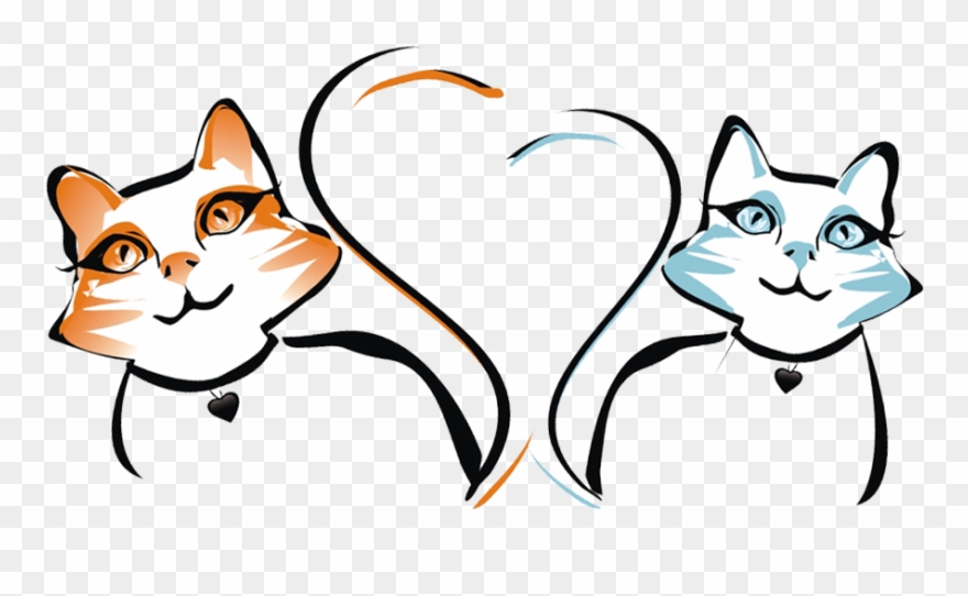 Feline Behavior Solutions Clipart