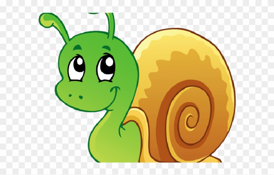Snail Clipart Group Shell - Cartoon Image Of A Snail - Png Download
