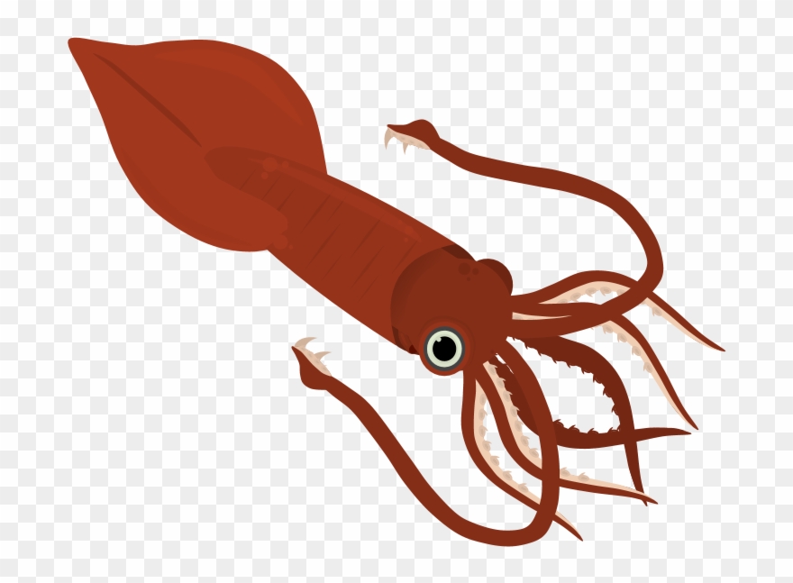 Colossal Squid Misc Art - Giant Squid Clipart