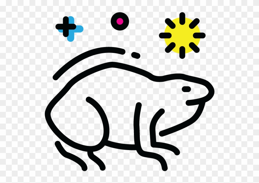 Cane Toad Populations Expanded, From A Couple Hundred Clipart