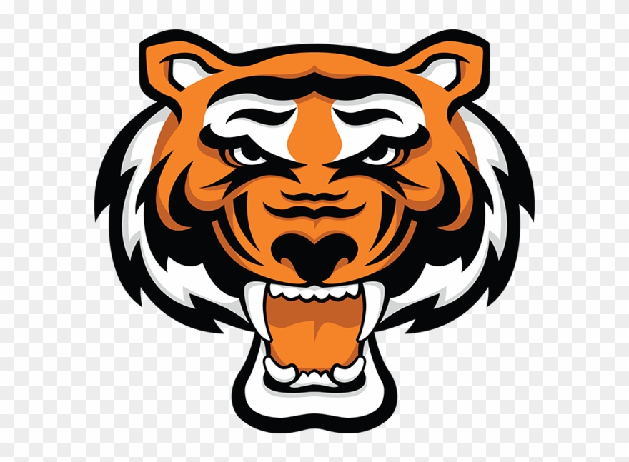 Drawn Tiger Fierce Tiger - Rawlings Tigers Clipart