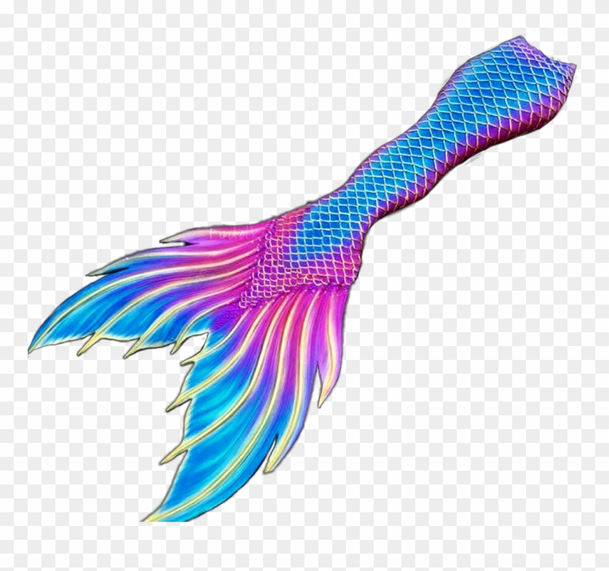 #mermaid #mermaids #tail #fin #tails #fins #fantasy - Illustration Clipart