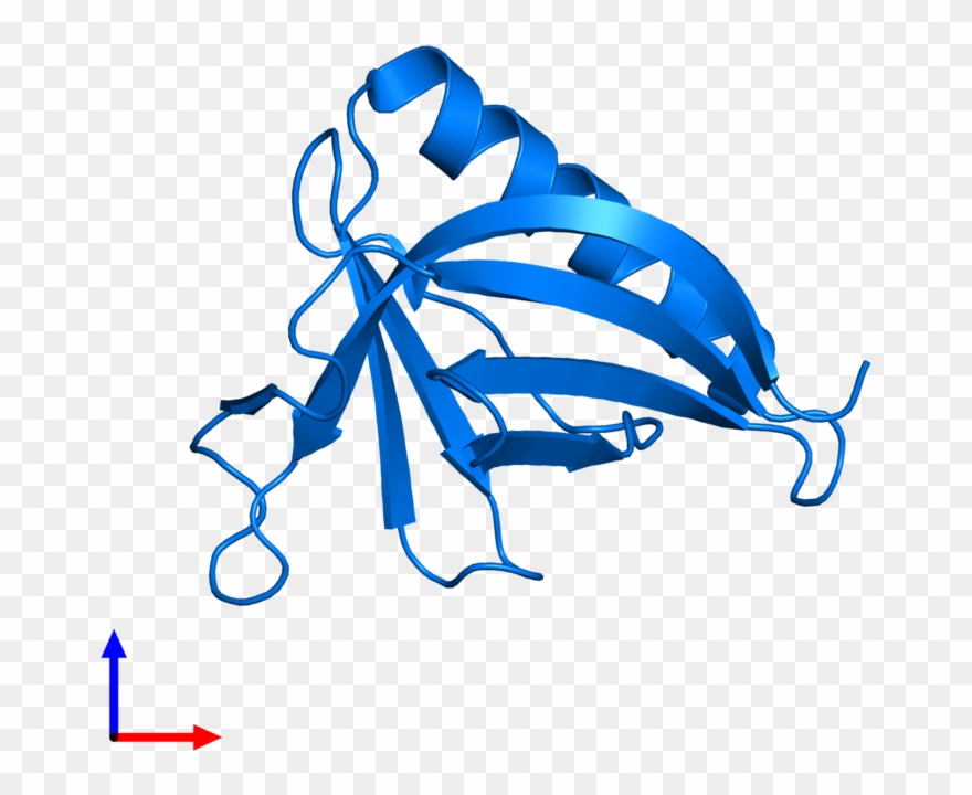 <div Class='caption-body'>pdb Entry 1ddw Contains 1 - Illustration Clipart