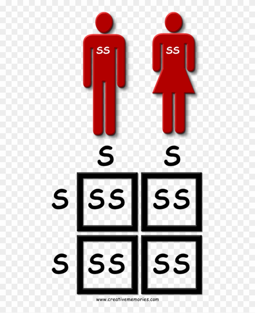 This Means That Both Parents Carry Two Sickle Cell Clipart