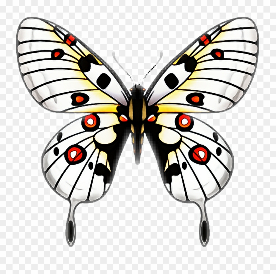 #butterfly #butterflies #papillon #mariposa #ftestickers - Background Sayap Kupu Kupu Clipart