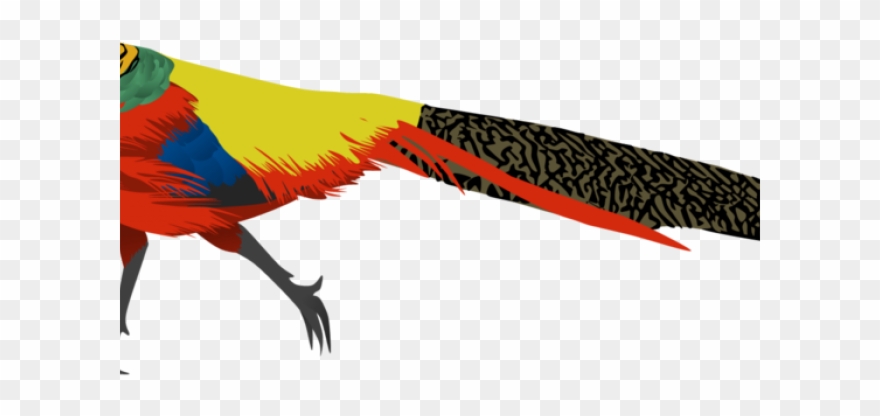 Pheasant Clipart High - Golden Pheasant Png Transparent Png