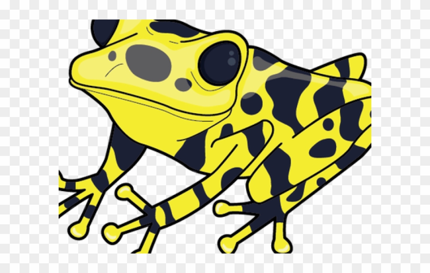 Poison Dart Frog Clipart Spotted Frog - Poison Dart Frog Clip Art - Png Download
