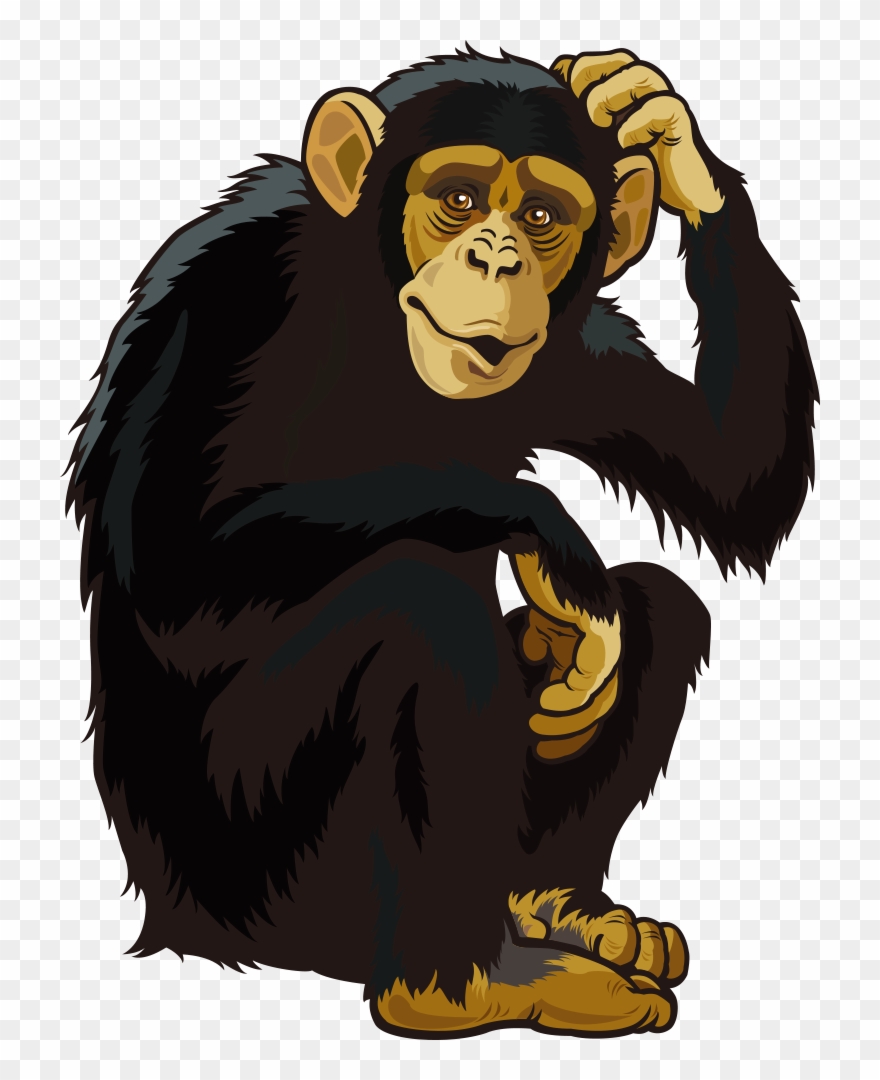 Monkey Vector Png - Monkey Png Clipart