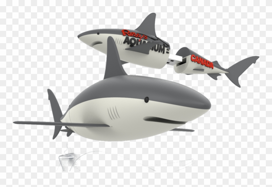 Shark Ripley - Great White Shark Clipart