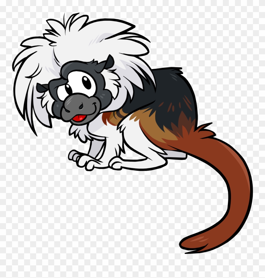 Endangered Animals Clipart Free - Cotton Top Tamarin Cartoon - Png Download