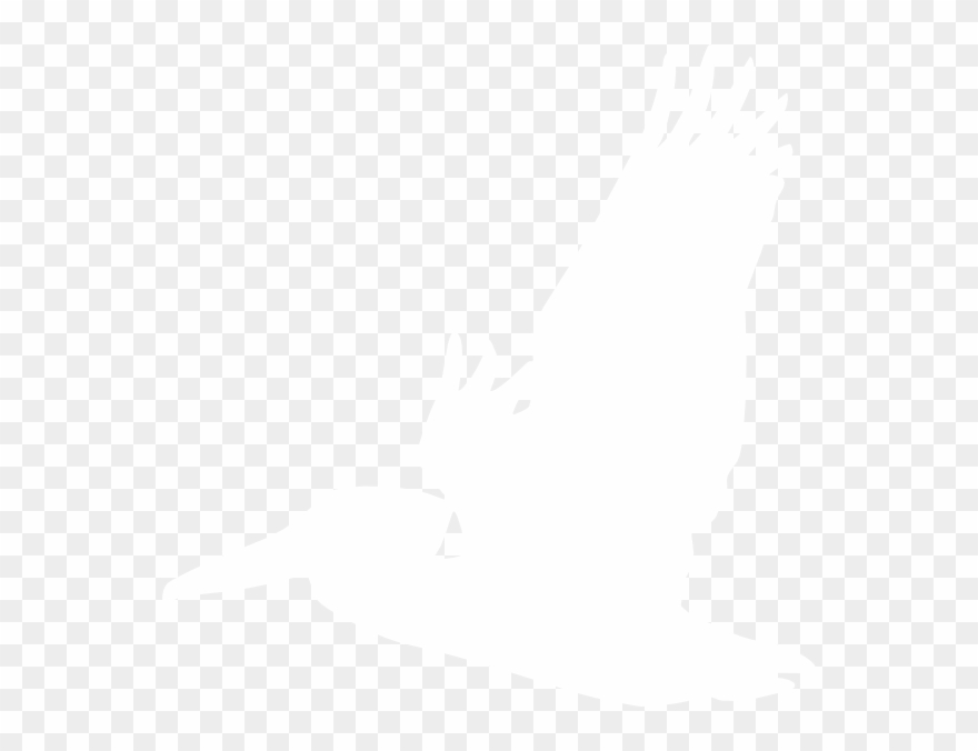 How To Set Use White Pelican Clipart - Png Download
