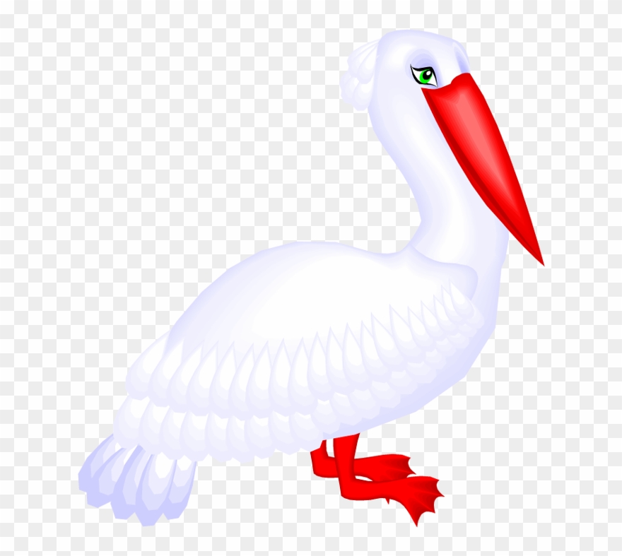 Cute Pelican - Aves Marinas Pelicano Clipart