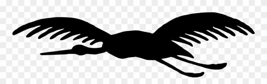 All Photo Png Clipart - Common Hill Myna Transparent Png