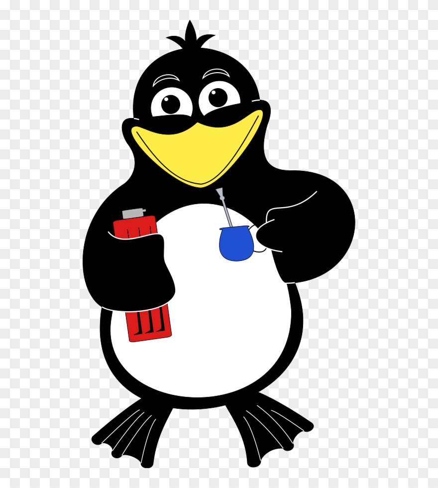 Tea Time Penguin Penguin Illustration, Penguin Animals, - Gambar Kartun Hewan Keren Clipart