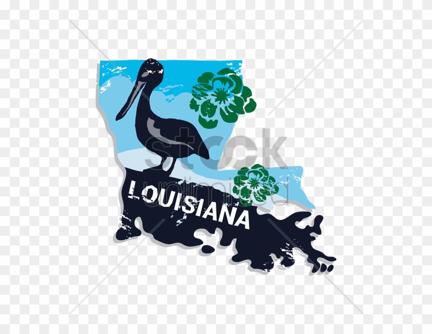 Louisiana Clipart Pelican, Louisiana Clip Art - Louisiana - Png Download