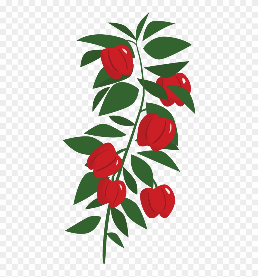 Image Is Not Available Clipart