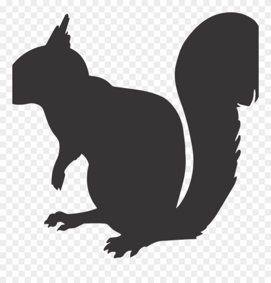 Black Silhouettes Pinterest Science Clipart Squirrel - Squirrel Silhouette Png Transparent Png