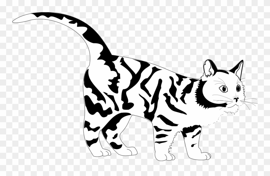 Tiger Cat Black White Line Art Coloring Sheet Colouring - Graphic Black And White Cat Clipart