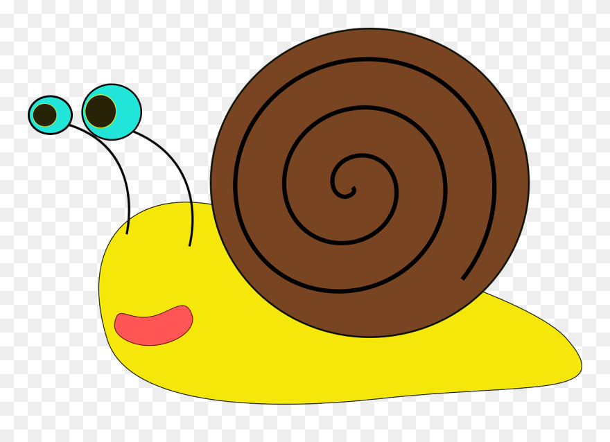 Snail Clipart Black And White Free Clipart Images - Snail Clip Art - Png Download