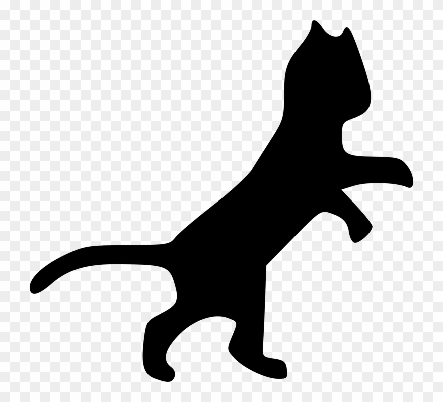 Dancing Cat Svg Clip Arts 594 X 561 Px - Png Download