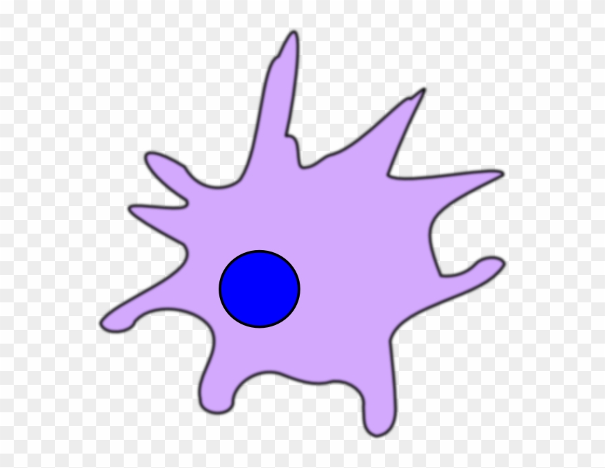 Dendritic Cell Png Clipart