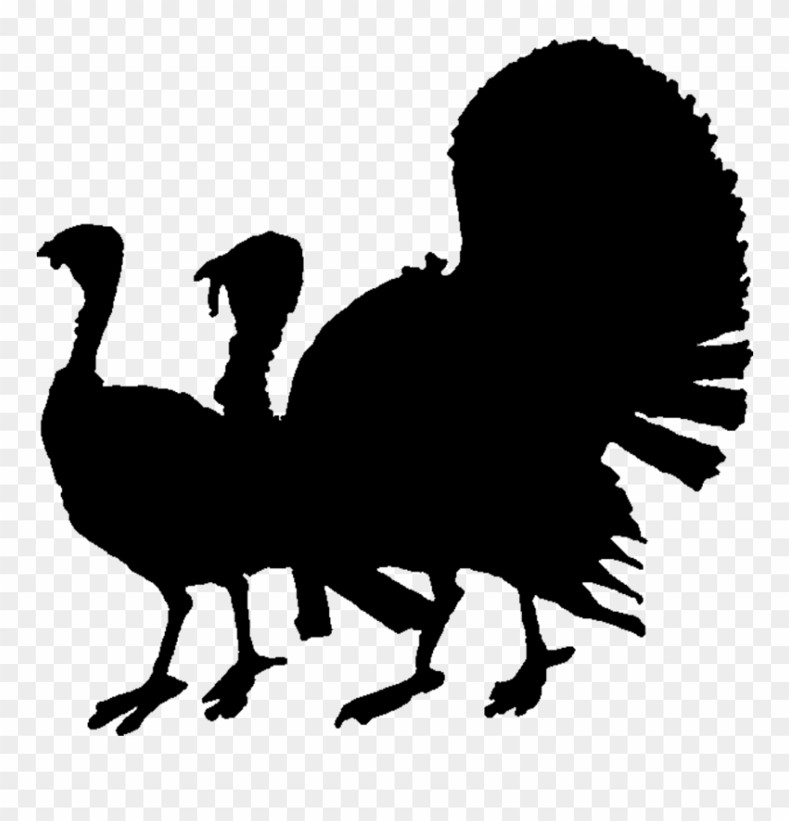Turkey Silhouette Clip Art At Getdrawings - Transparent Turkey Silhouette - Png Download