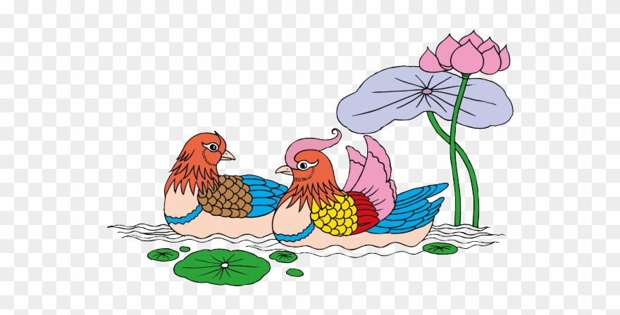 Mandarin Duck Clipart Banana - Trang Trí Hoa Văn Đẹp - Png Download