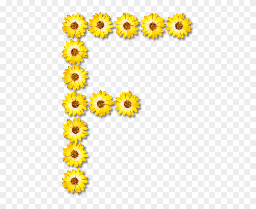 All Photo Png Clipart - Flower Transparent Png