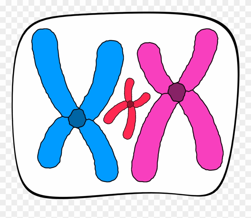 Portable Network Graphics Clipart