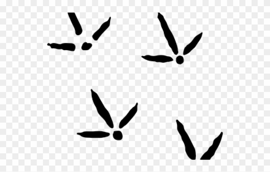 Turkey Tracks Clipart - Png Download