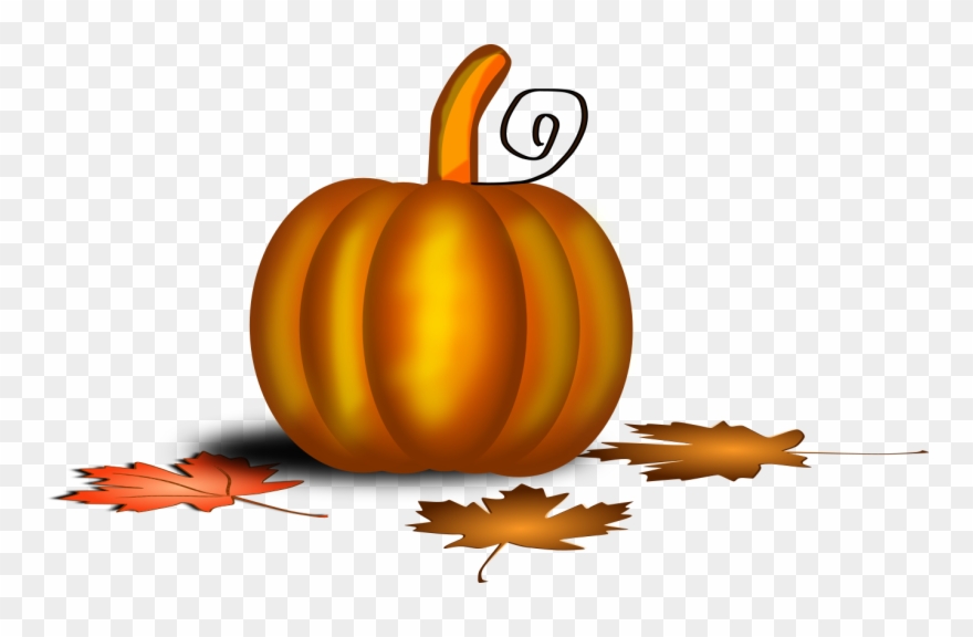 All Photo Png Clipart - Calabaza Accion De Gracias Transparent Png