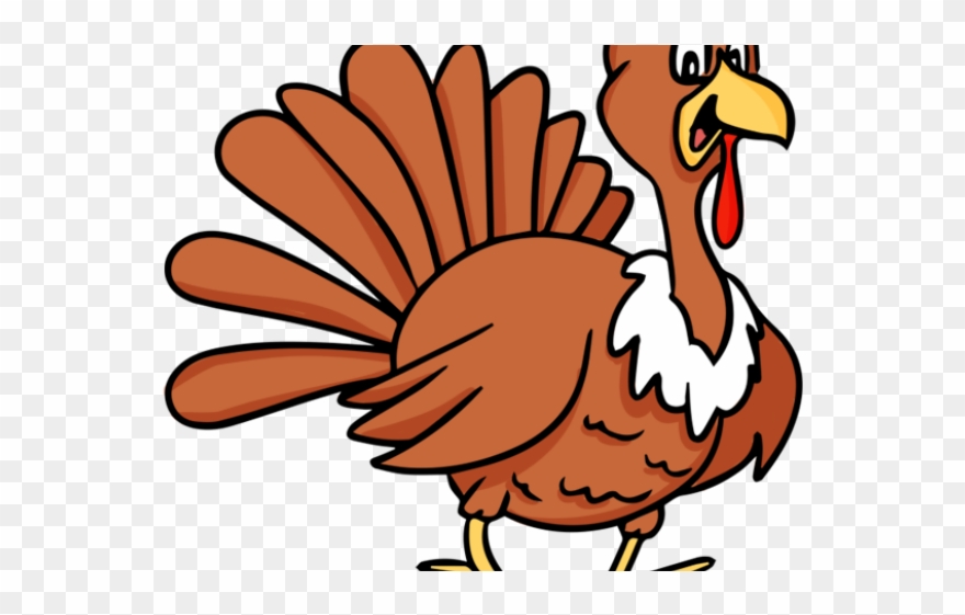 Clipart Turkey Fun - Cartoon Turkey - Png Download