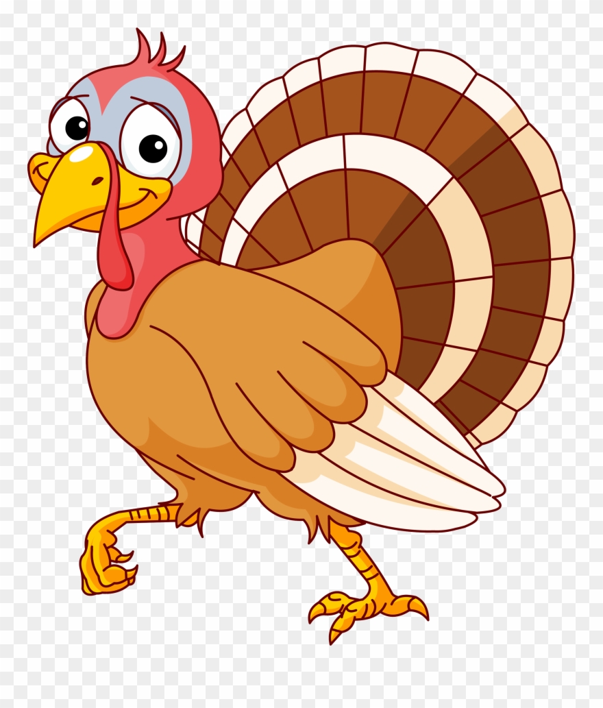 Cartoon Turkey Images Clip Art - Turkey Clip Art Free - Png Download