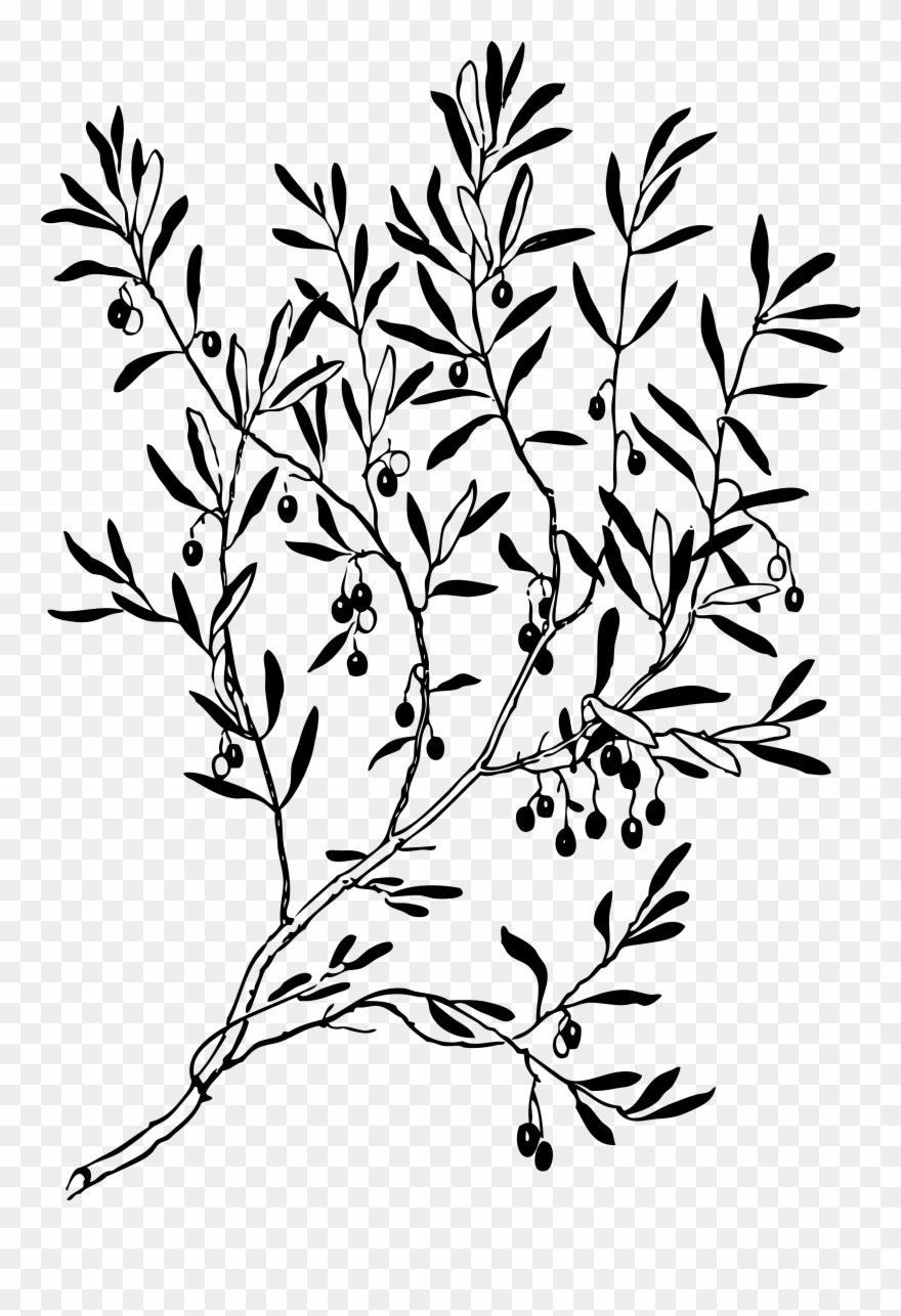 Pizza Toppings Clipart At Getdrawings - Olive Tree Outline Png Transparent Png