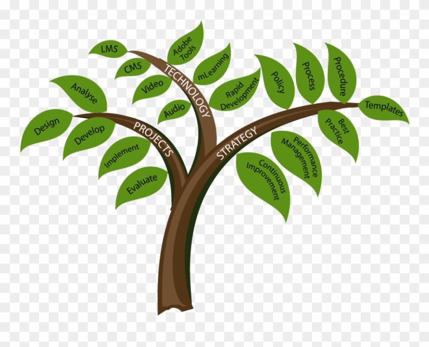 Consultation Services Provided By Mary Hetherington - Learning And Development Tree Clipart