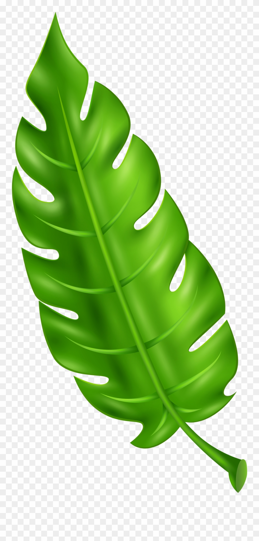 Green Leaf Clipart - Png Download
