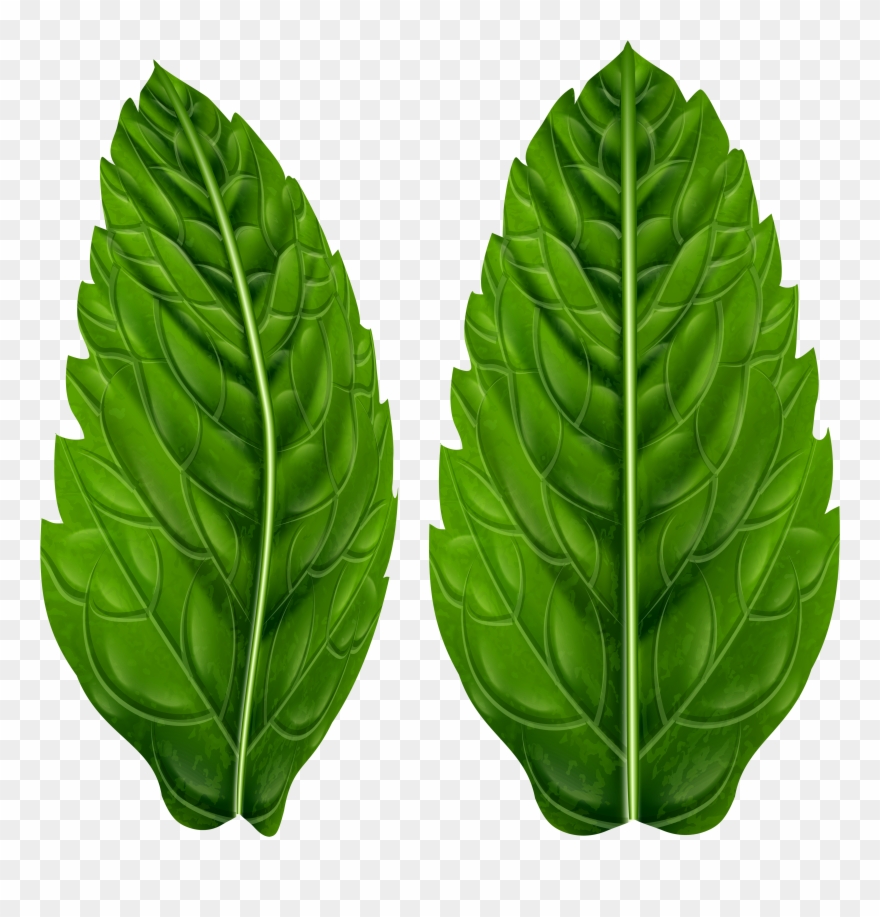 Clip Art - Png Download