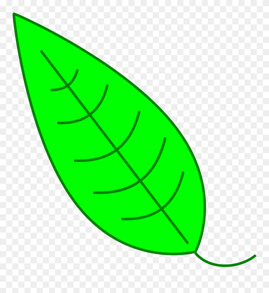 Leaf Clipart Icon - Simple Leaf Drawing Png Transparent Png