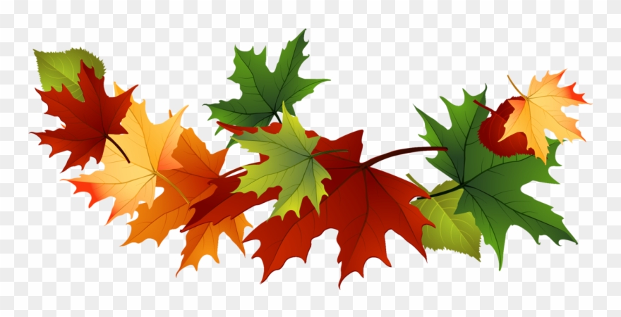 Fall Leaves Clip Art Free Fall Transparent Leaves - Free Fall Clip Art Leaves - Png Download